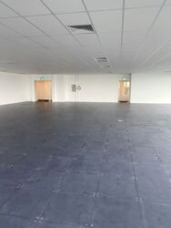 Woodlands Avenue 5 (D25), Office #459750311